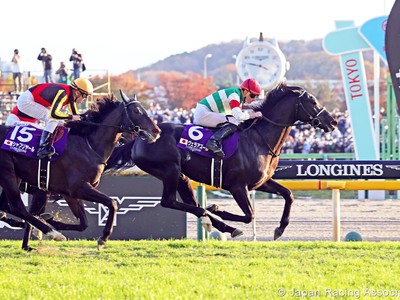 Japan Cup Hero Vela Azul's Incredible Improvement After ... Image 1